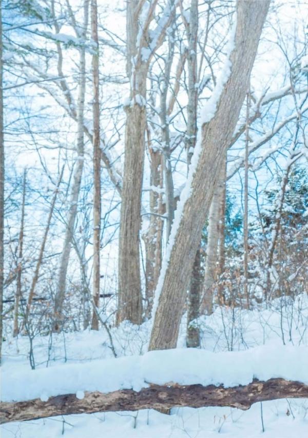 Whoseman-10-犬系男孩-安東尼-北海道特別企劃